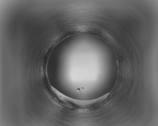 X0000067930500200604201500