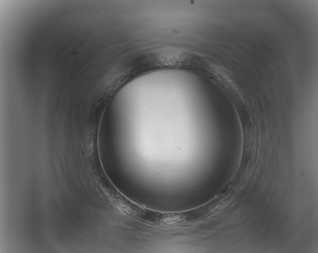 X0000067930505200604201500