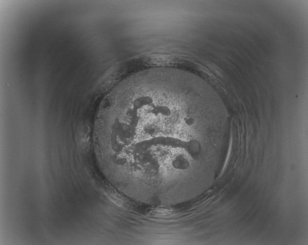 X0000067930507200604201500