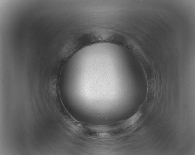 X0000067930509200604201500