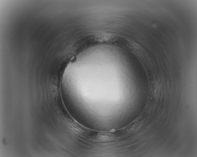 X0000067930510200604201500