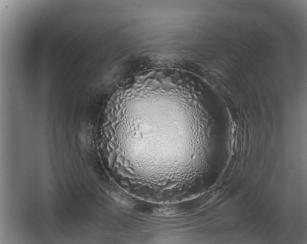 X0000067930511200604201459