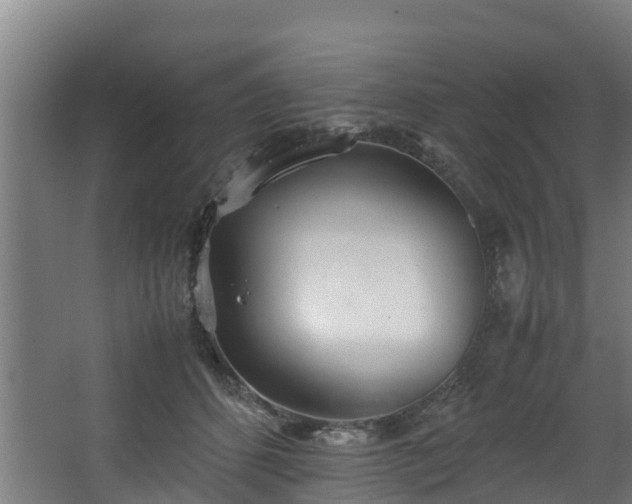 X0000067930512200604201459