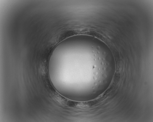 X0000067930515200604201459