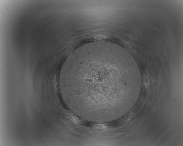 X0000067930519200604201459