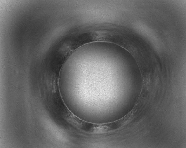 X0000067930525200604201459