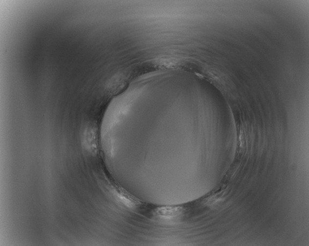 X0000067930526200604201459