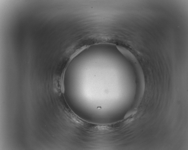 X0000067930528200604201459