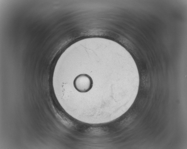 X0000067930534200604201458