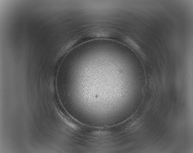 X0000067930537200604201459