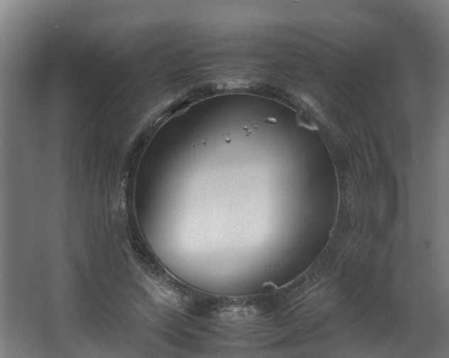 X0000067930543200604201459