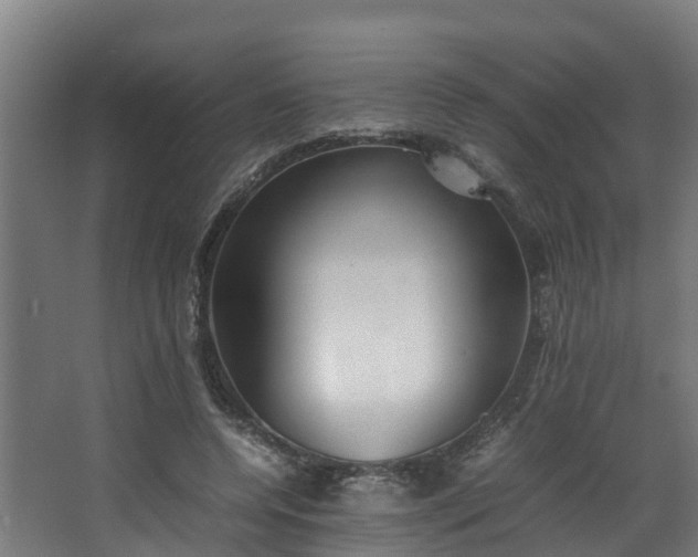 X0000067930544200604201459