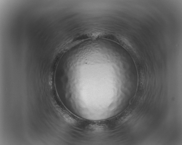 X0000067930545200604201459