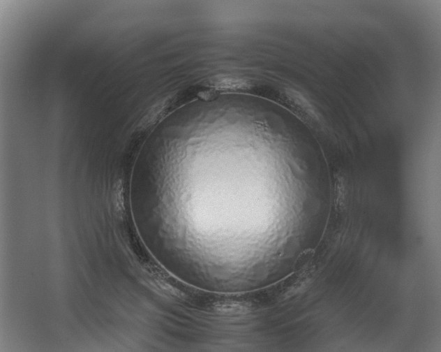 X0000067930549200604201459