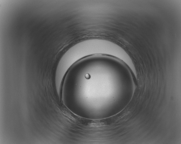 X0000067930556200604201459