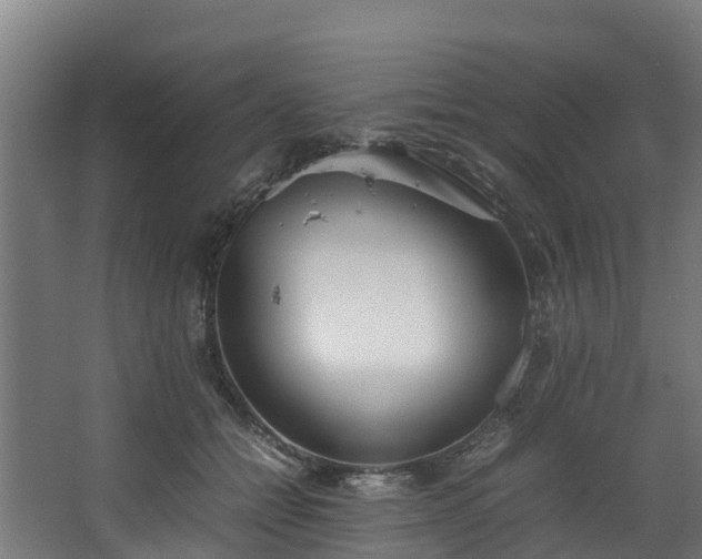 X0000067930558200604201459