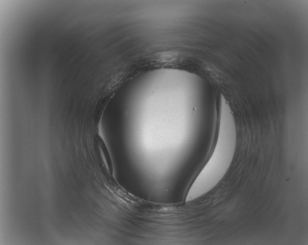 X0000067930562200604201459