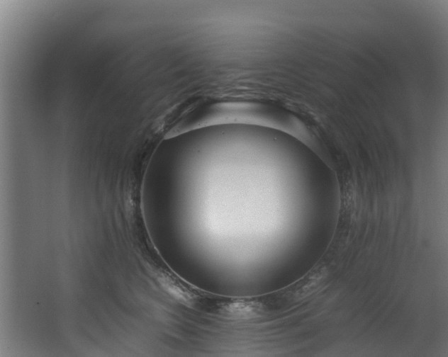 X0000067930566200604201459