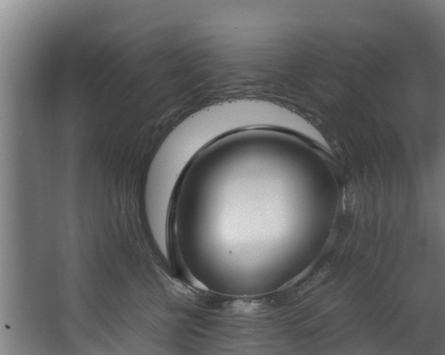 X0000067930570200604201459