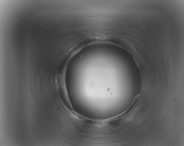 X0000067930576200604201459