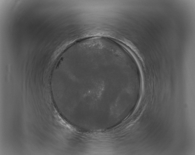 X0000067930577200604201458