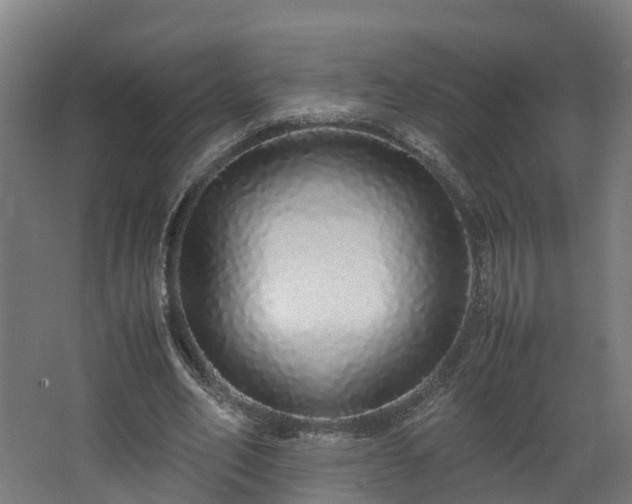 X0000067930582200604201458