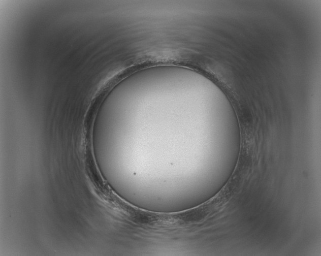 X0000067930583200604201458