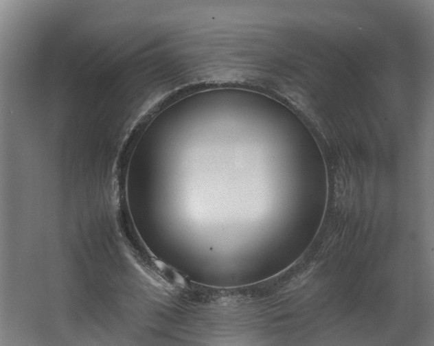 X0000067930584200604201458