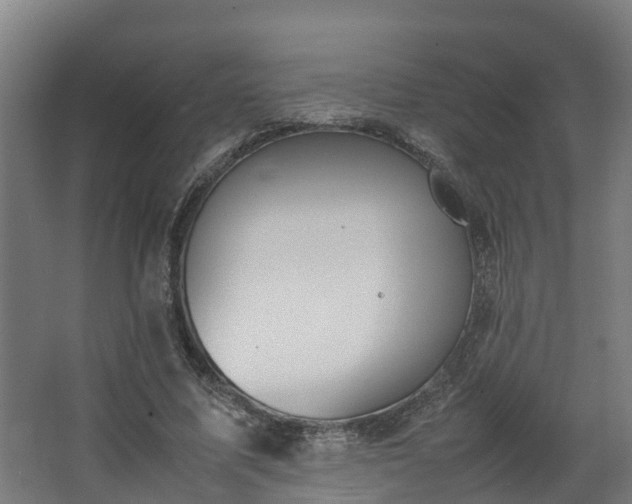 X0000067930587200604201458