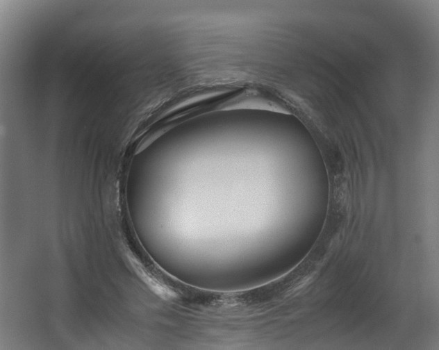 X0000067930589200604201458