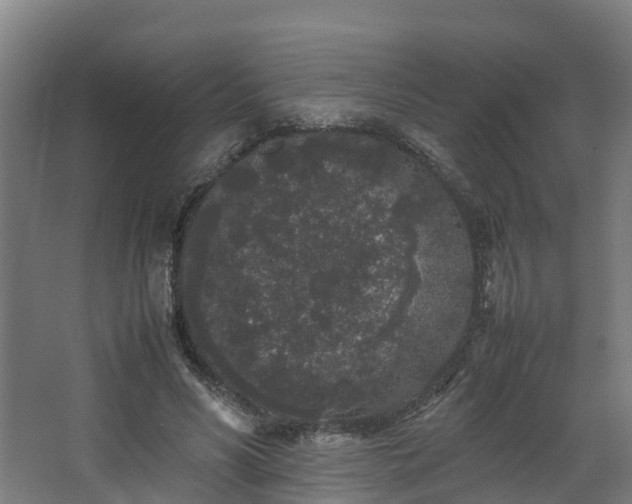 X0000067930590200604201458