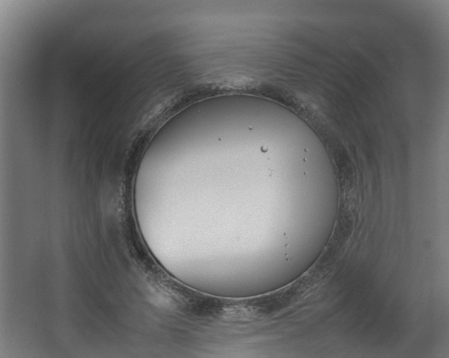 X0000067930591200604201458