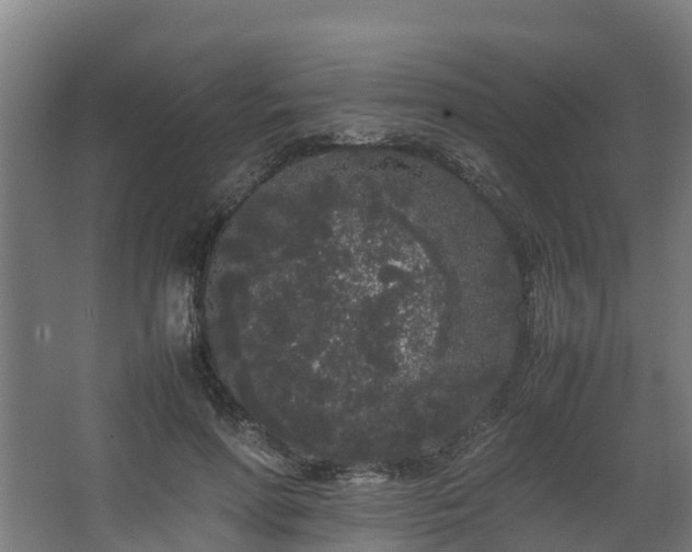 X0000067930598200604201458