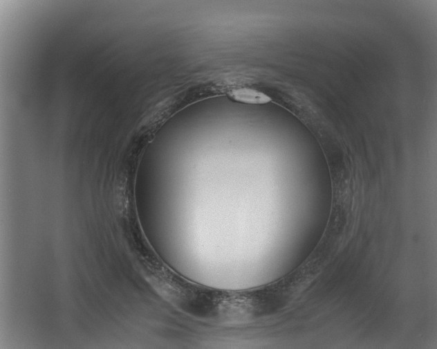 X0000067930599200604201458