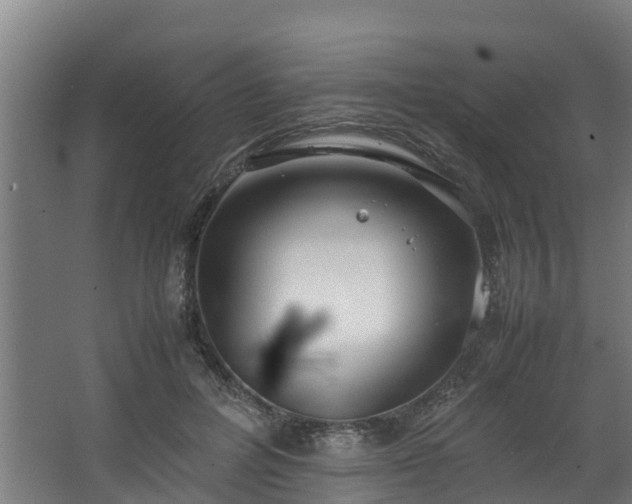 X0000067930600200604201458