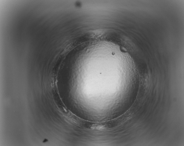 X0000067930602200604201458