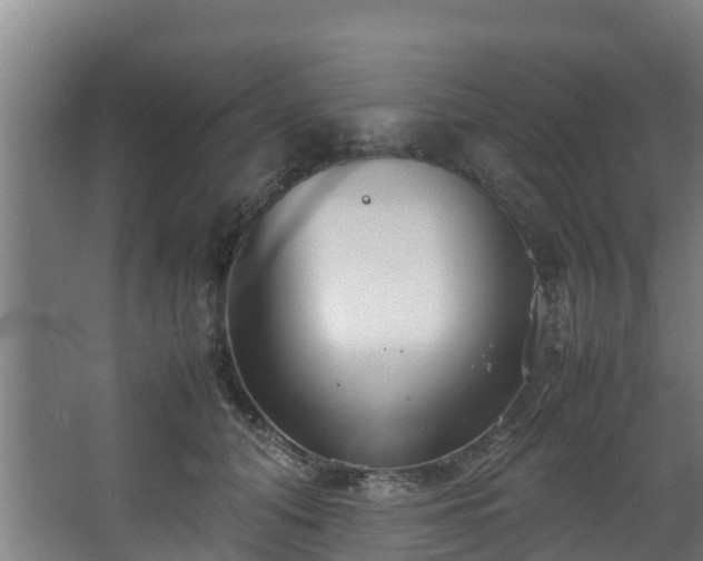 X0000067930608200604201458