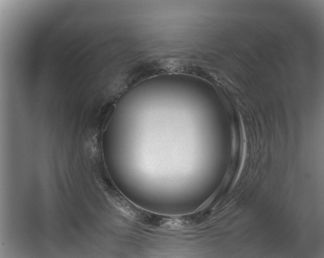 X0000067930611200604201458