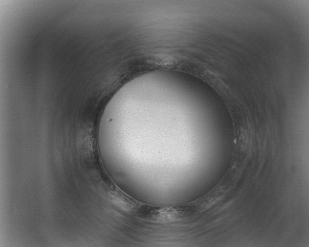 X0000067930612200604201458