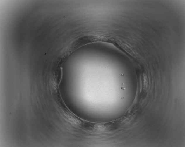 X0000067930613200604201458