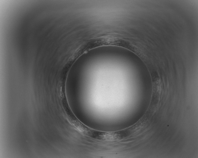 X0000067930615200604201458