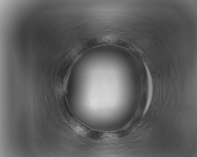 X0000067930617200604201458