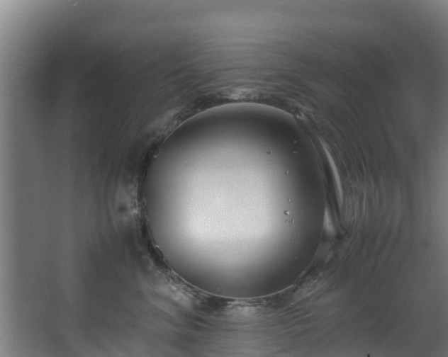 X0000067930620200604201458