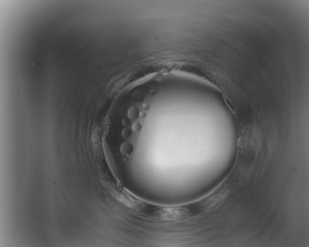 X0000067930623200604201458