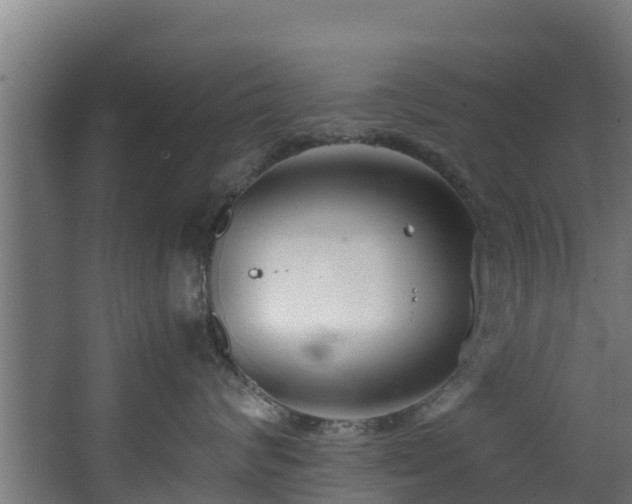 X0000067930624200604201458