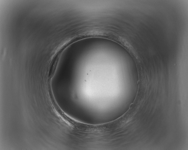 X0000067930625200604201457