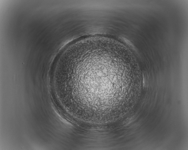 X0000067930627200604201457