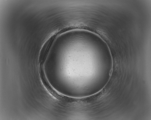 X0000067930630200604201457