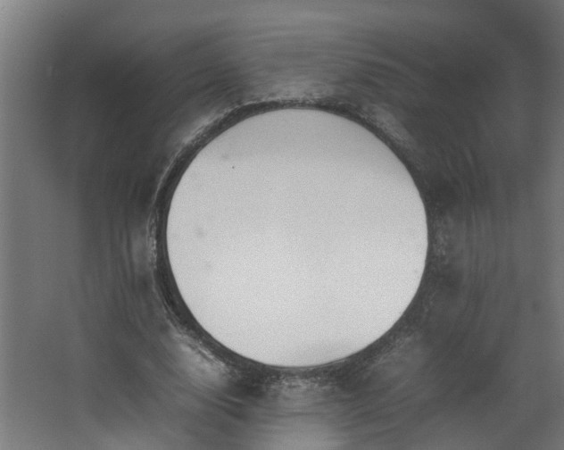 X0000067930632200604201457