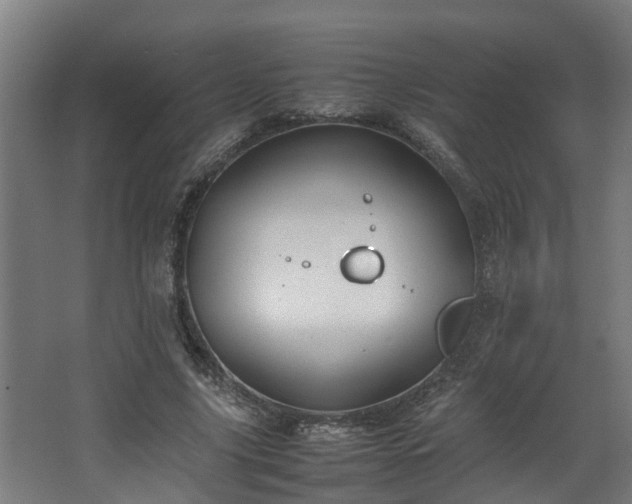 X0000067930635200604201457